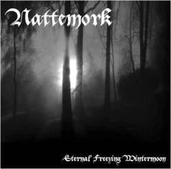 Eternal Freezing Wintermoon